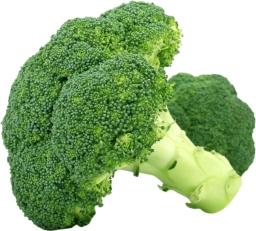 Broccoli Pre-Pack Box 1.5kg (12 Pack) – Reliable Ingredient for ...