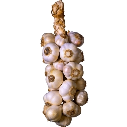 Dunsters Farm Garlic Rope – Essential Ingredient for Catering